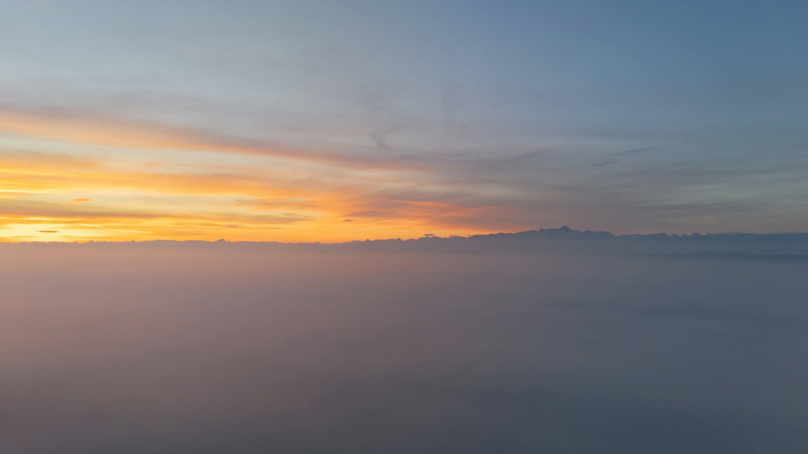 Morning Person vs. Night Owl: When Are You at Your Best? article cover