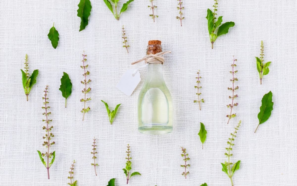 Which Scent Family Are You? quiz cover